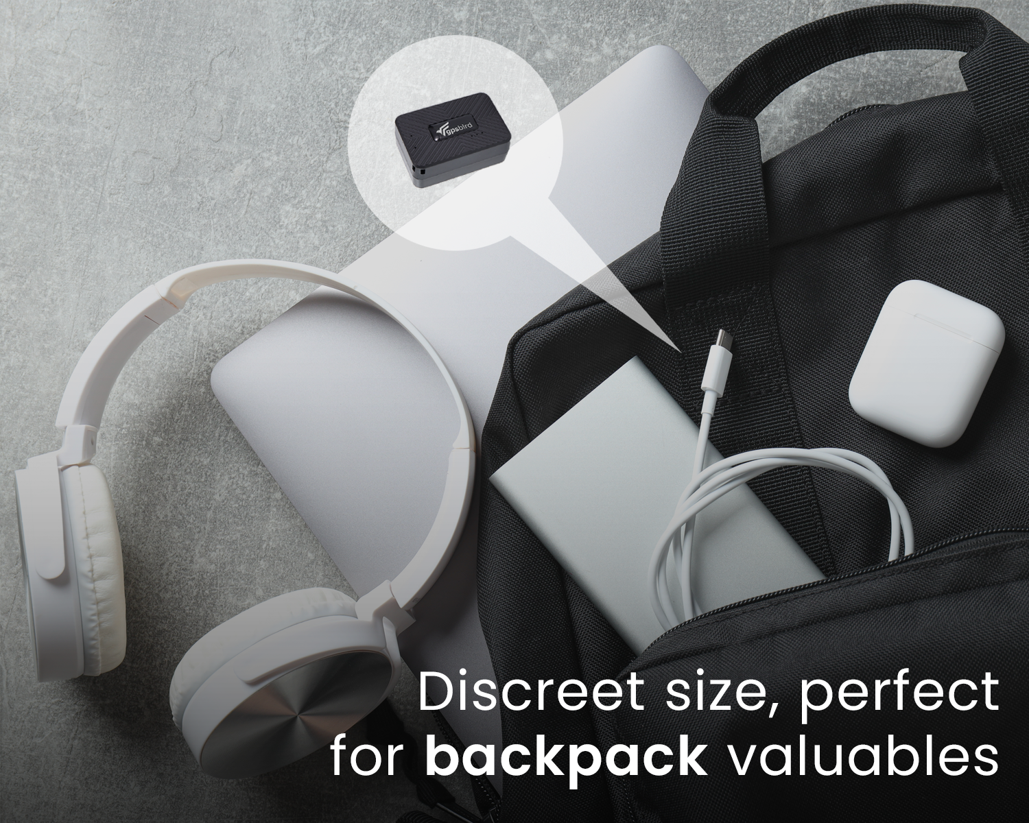 GPSBird valuables